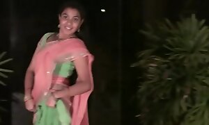 Beautiful Telugu  dance